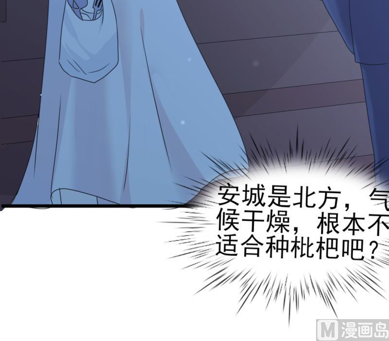 第34话 庭有枇杷树(1/2)-第34话