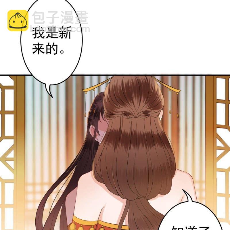 第81话 迷晕了再说(1/2)-第82话