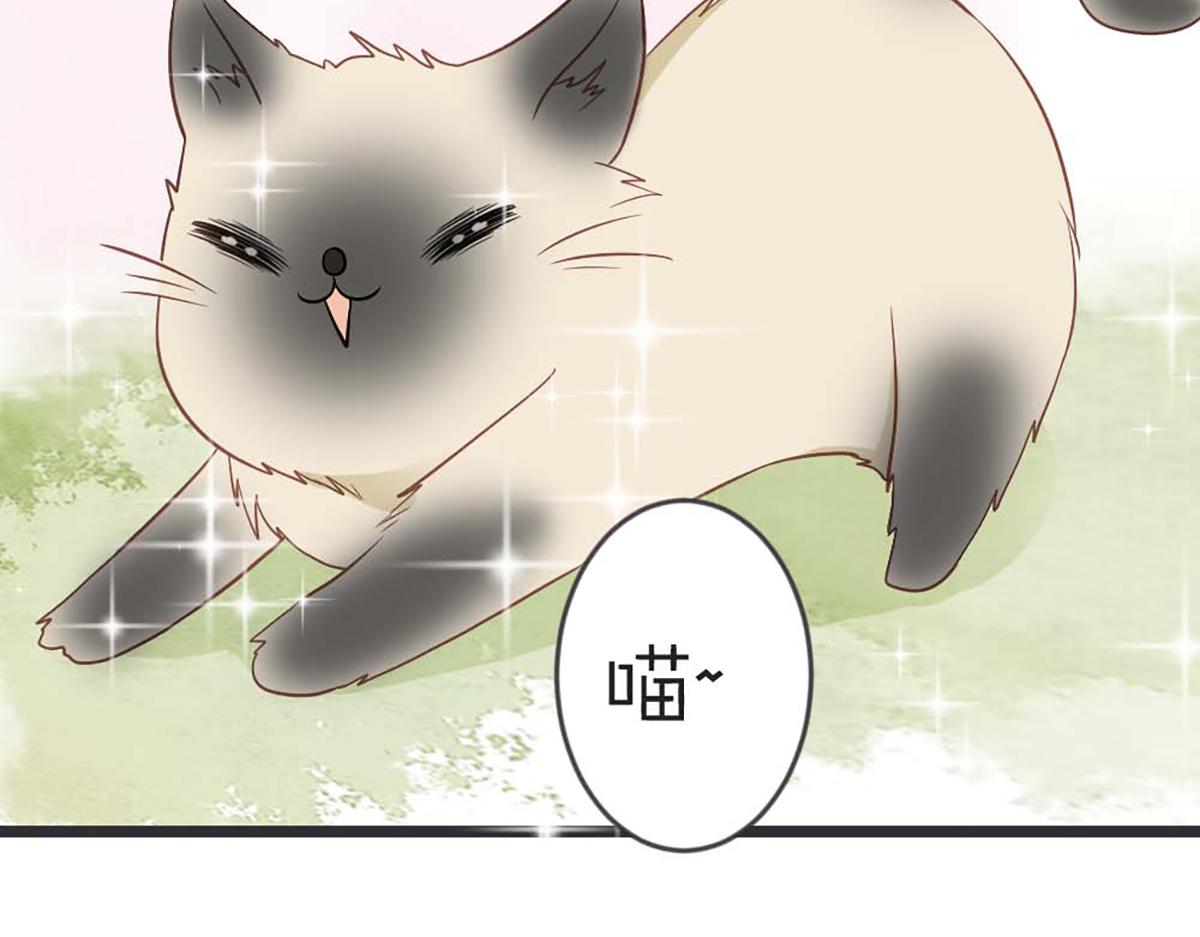第106话(1/2)-第106话