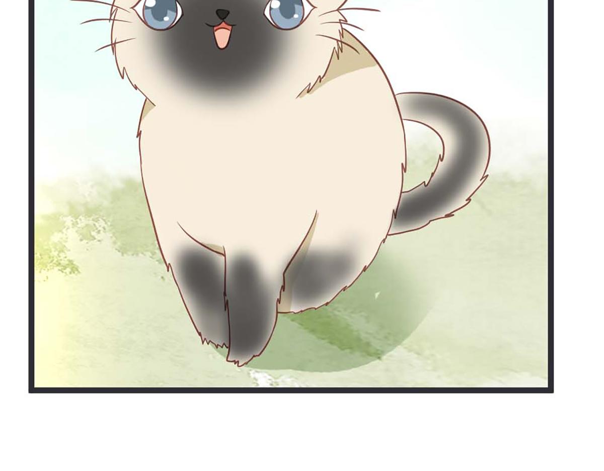 第106话(1/2)-第106话