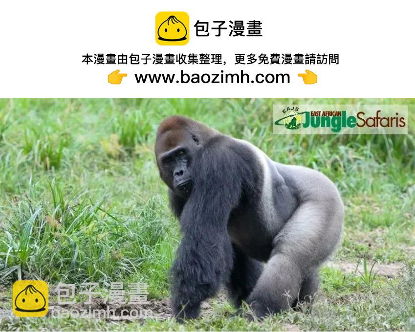 🍵Baalbuddy漫画小短篇 如何用大猩猩画肌肉爆表又不失女性气息的姐贵 第2页