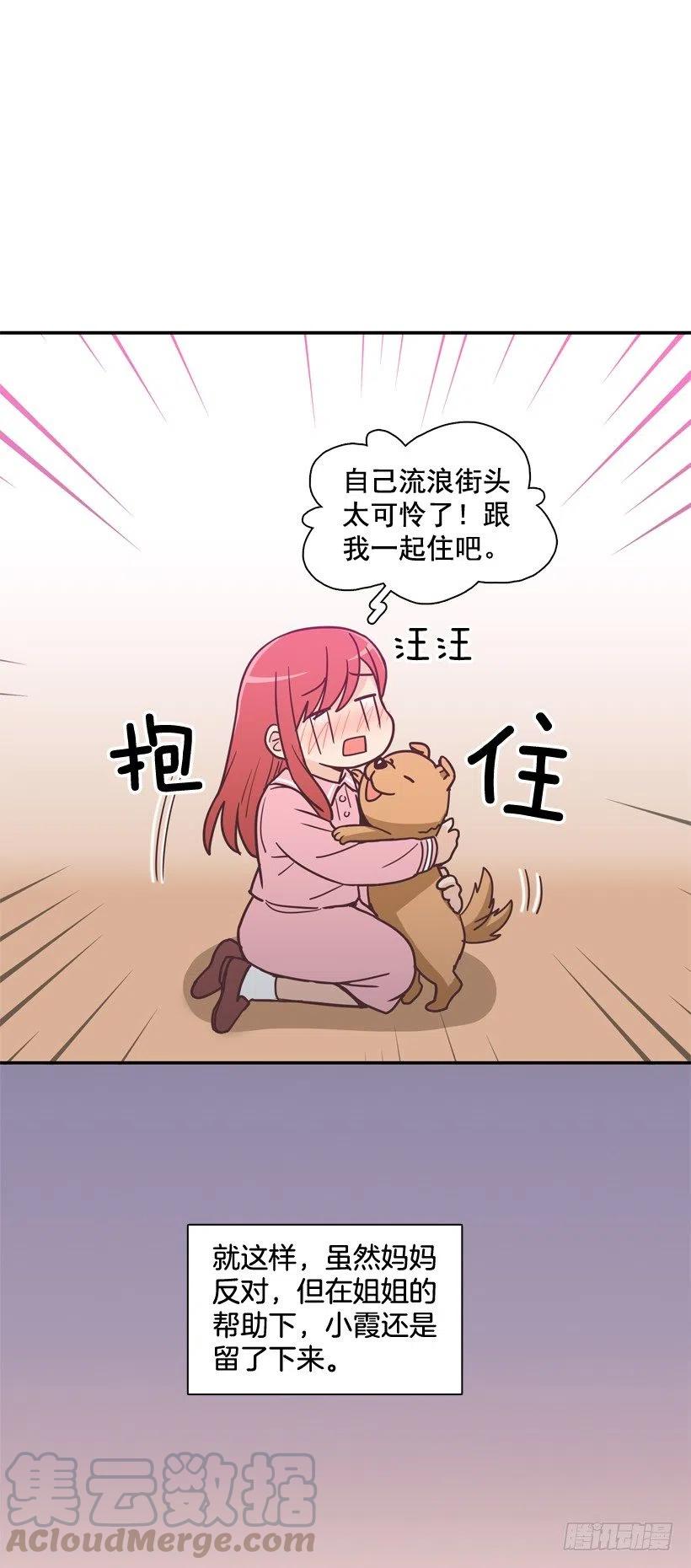 动物过敏-第202话