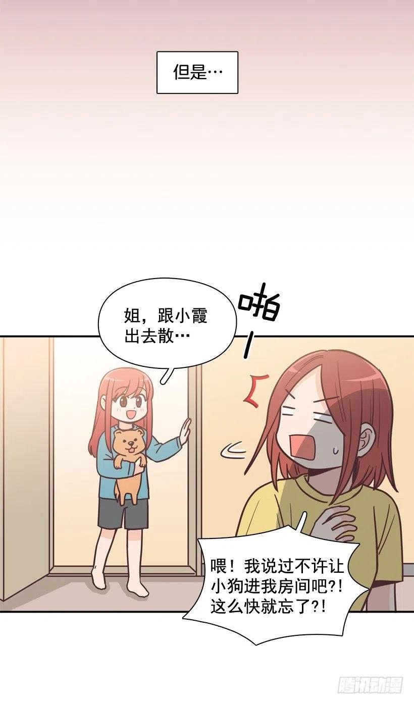 动物过敏-第202话