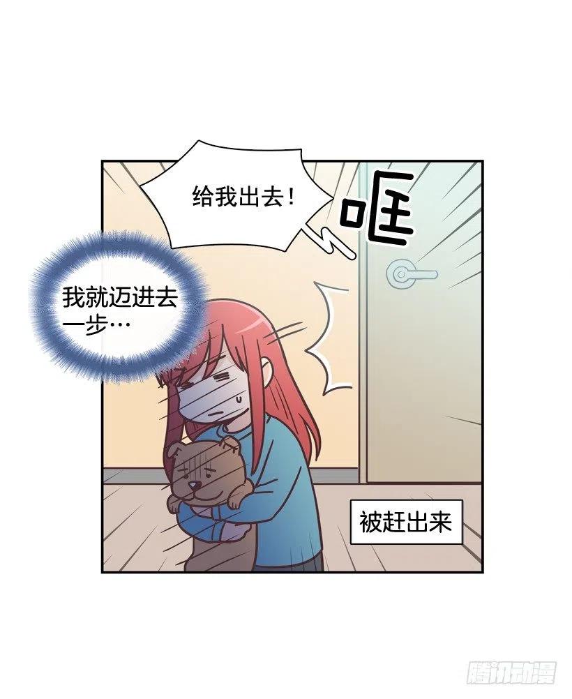动物过敏-第202话