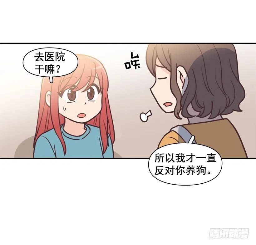 动物过敏-第202话