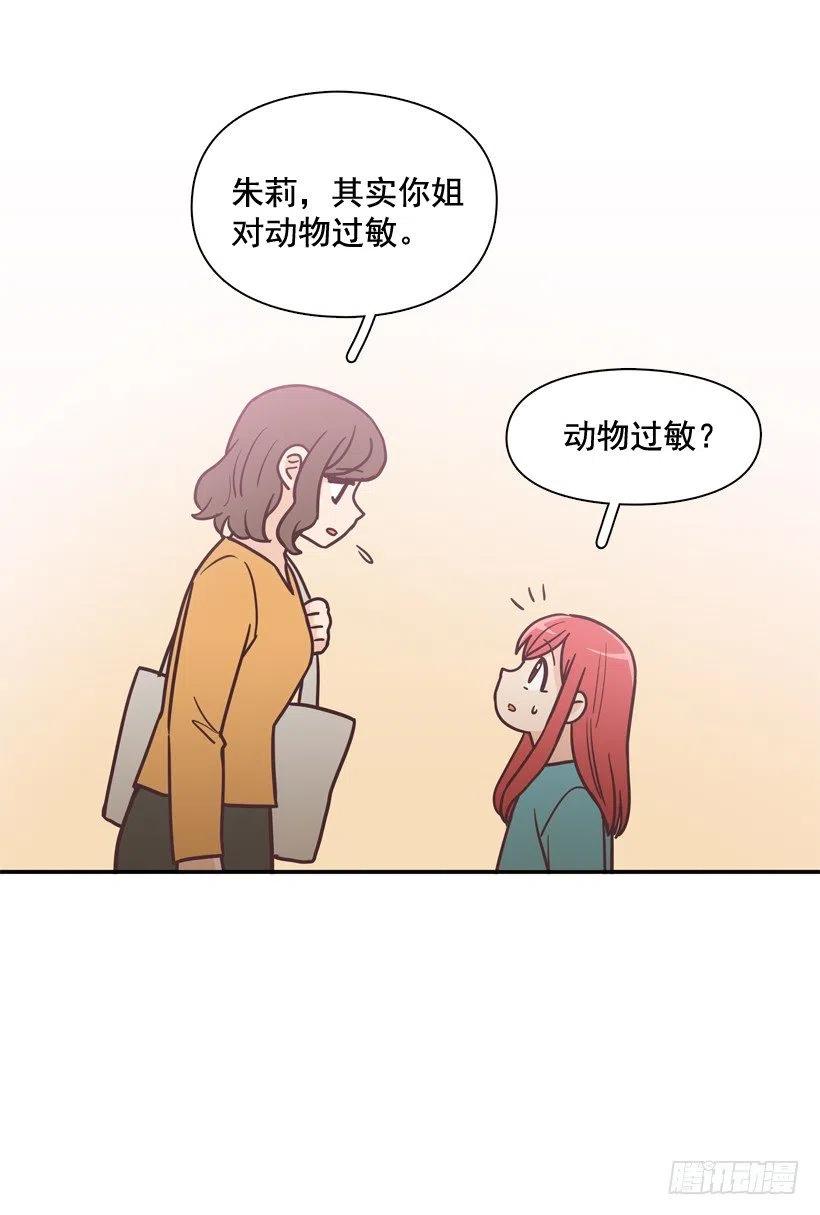 动物过敏-第202话