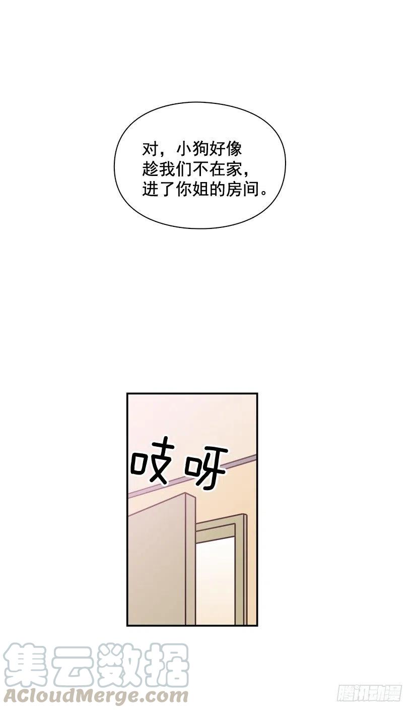 动物过敏-第202话
