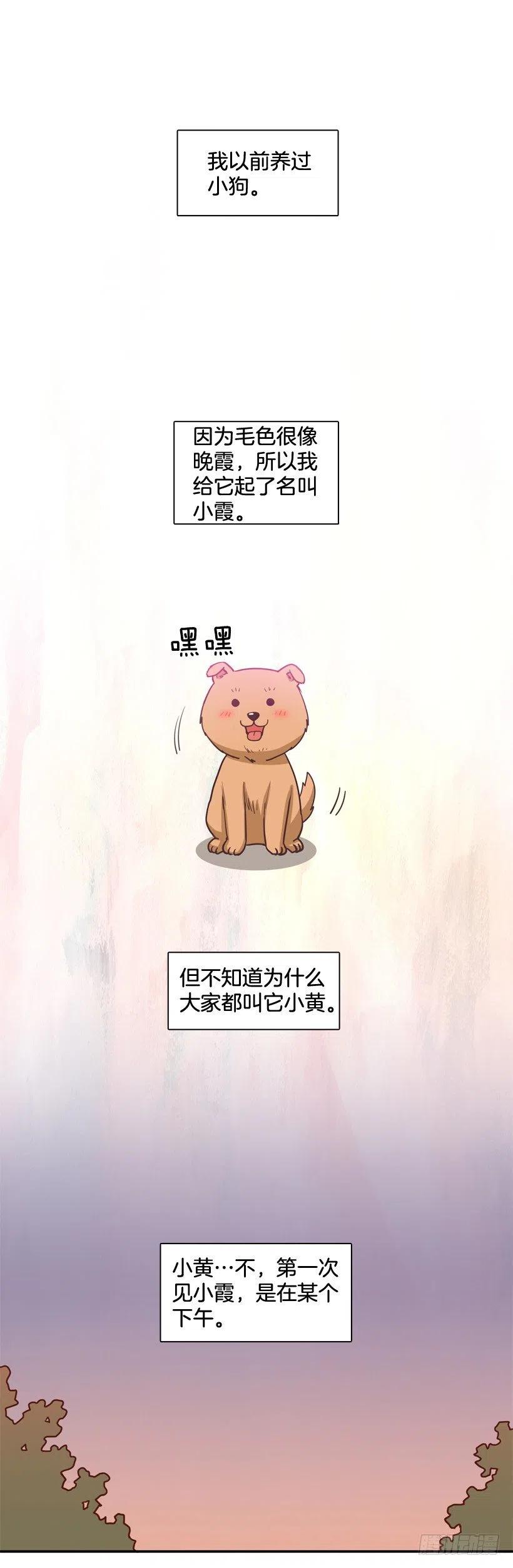 动物过敏-第202话