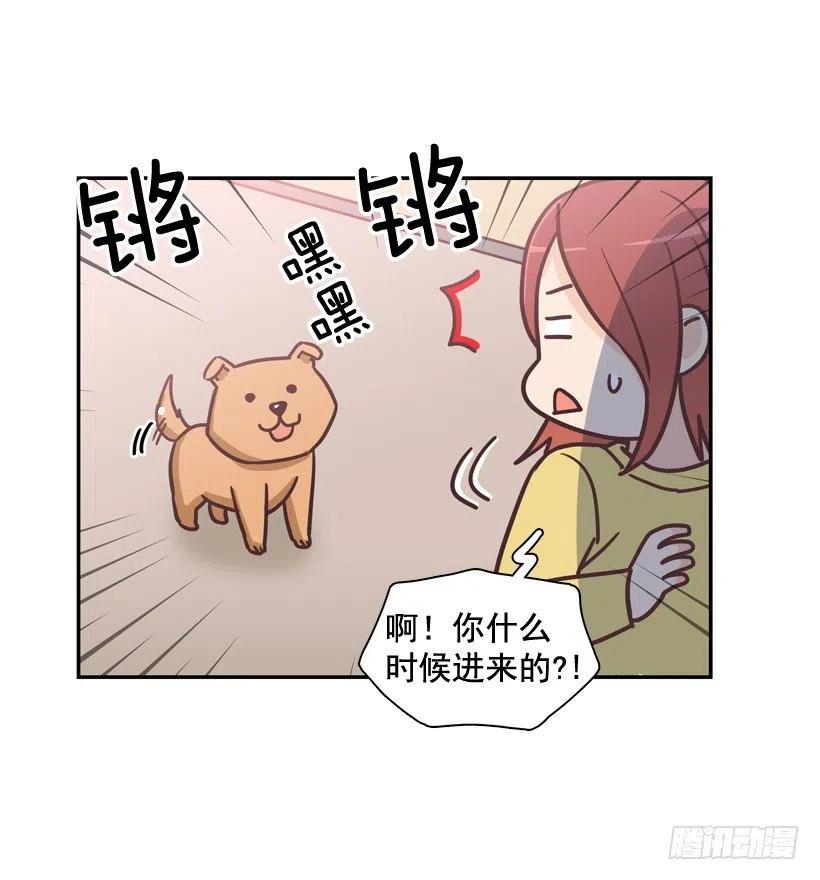 动物过敏-第202话
