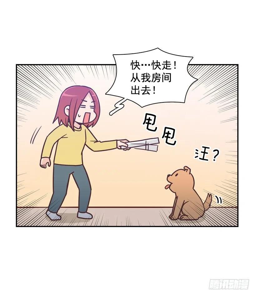 动物过敏-第202话
