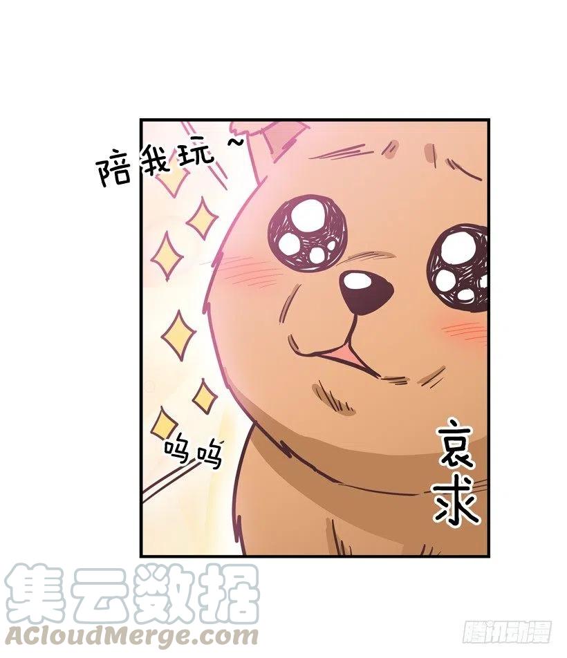 动物过敏-第202话