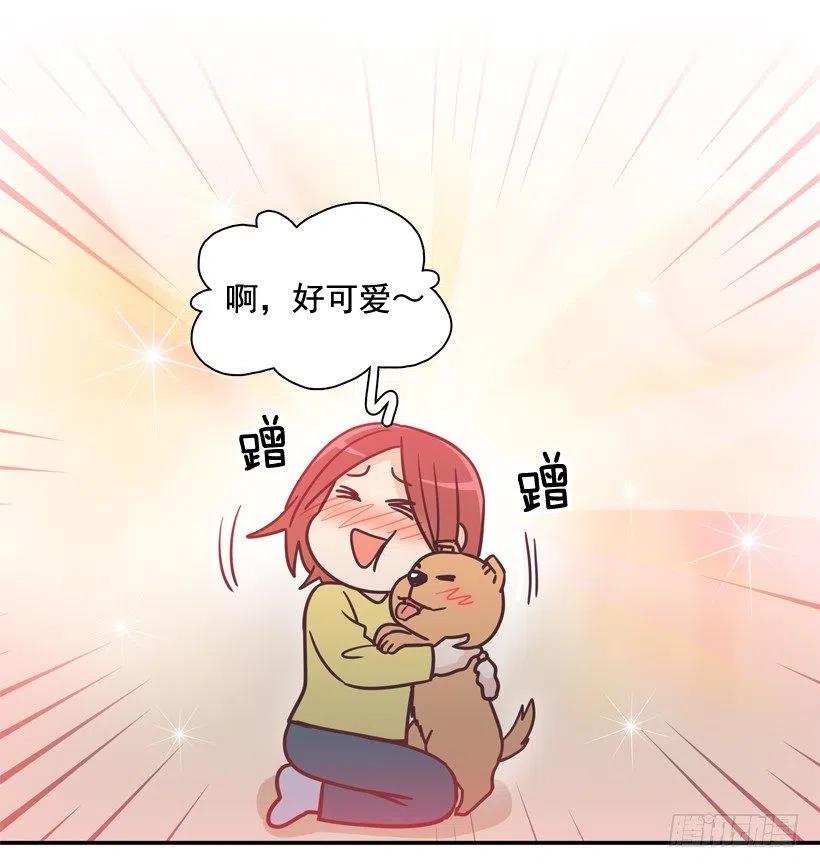 动物过敏-第202话
