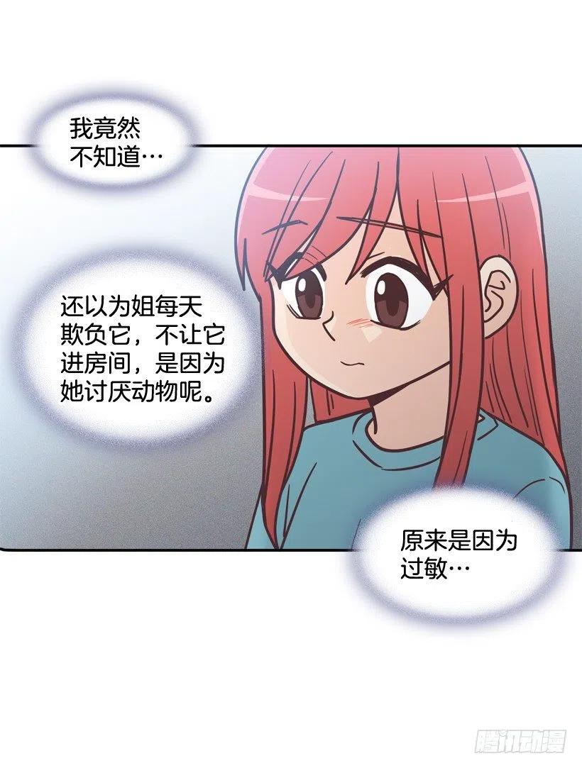 动物过敏-第202话