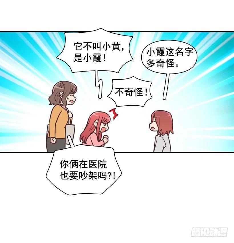 动物过敏-第202话