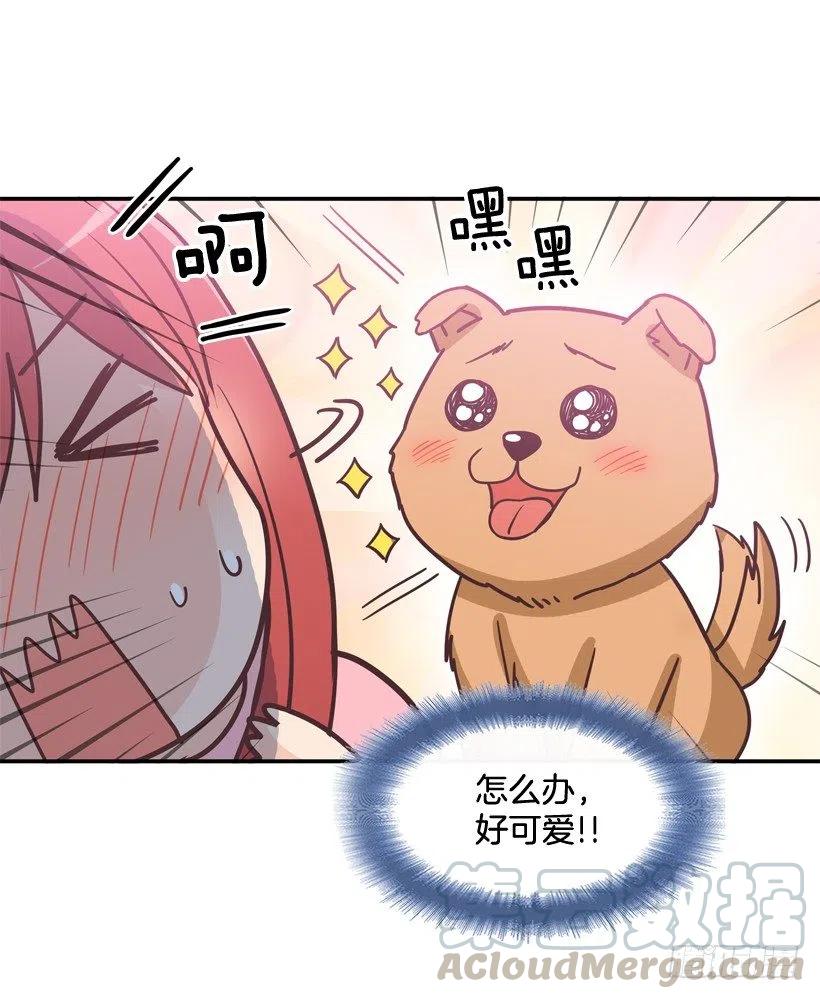 动物过敏-第202话