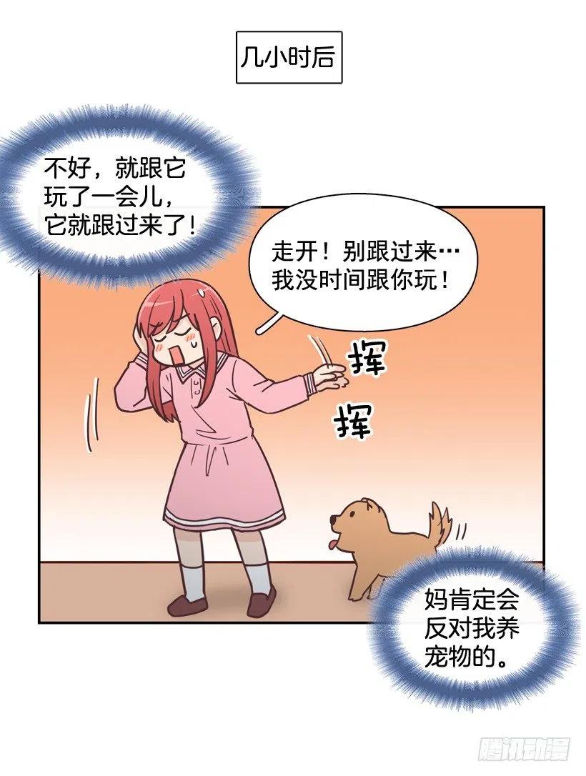 动物过敏-第202话