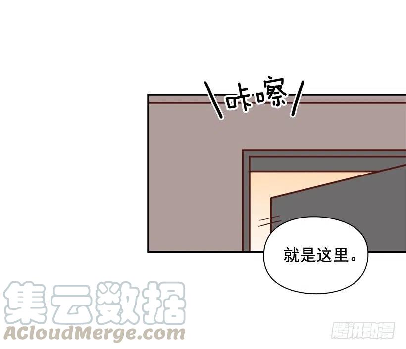 再次相遇(1/2)-第290话