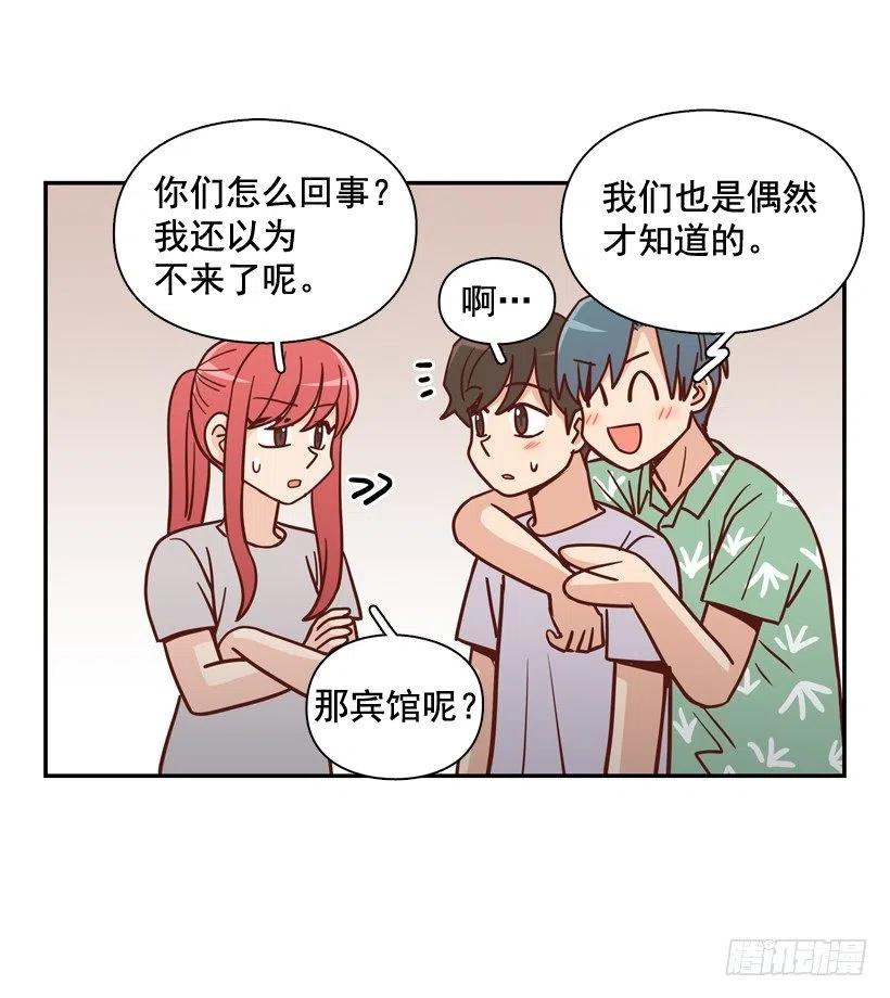 再次相遇(1/2)-第290话