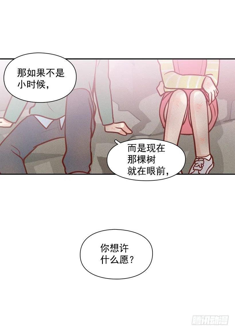 愿望树-第72话