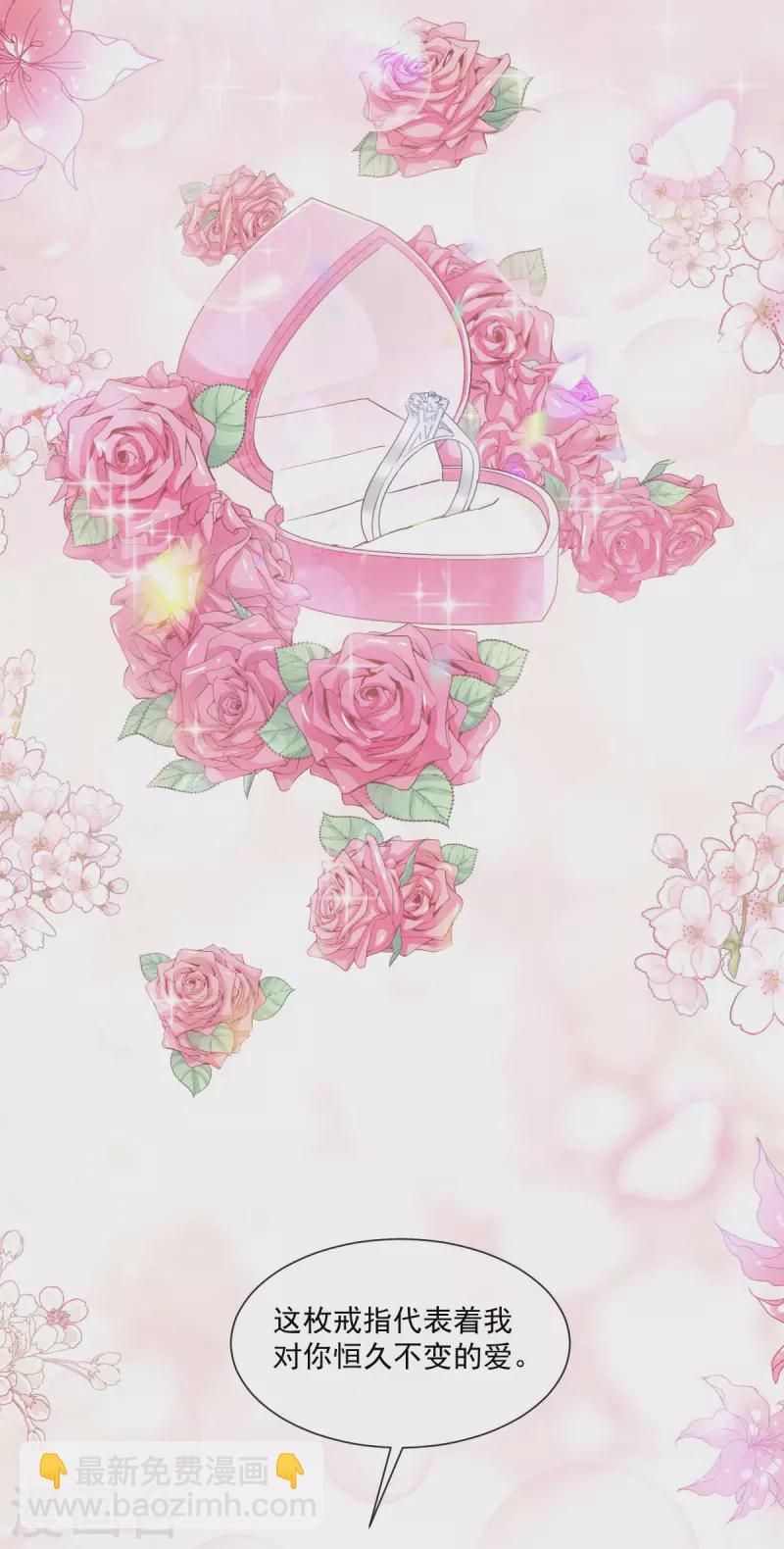 第161话 夕阳下的婚礼-第166话