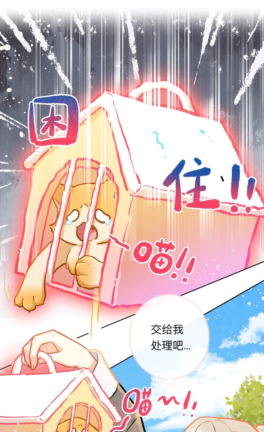 第45话 比试（二）-第72话