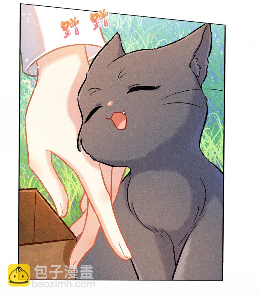 第53话 双星相会-第80话