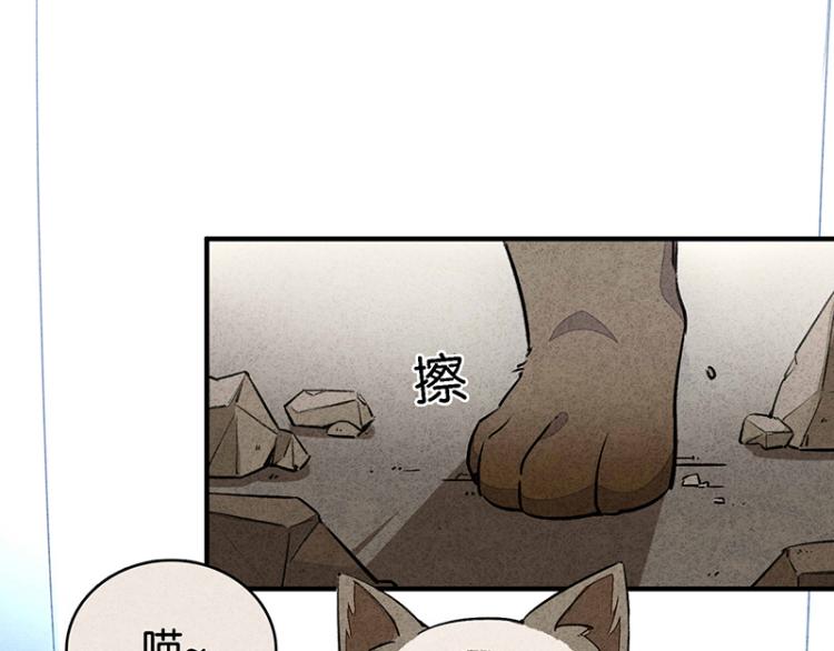 TA 回来了（2）(1/3)-第70话