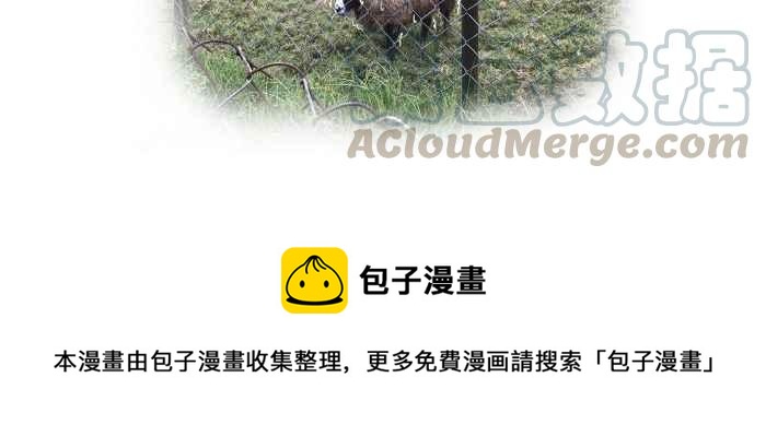 🍵百鬼夜行志・一夜怪谈之卷 [第648话] 穿越时空 第14页