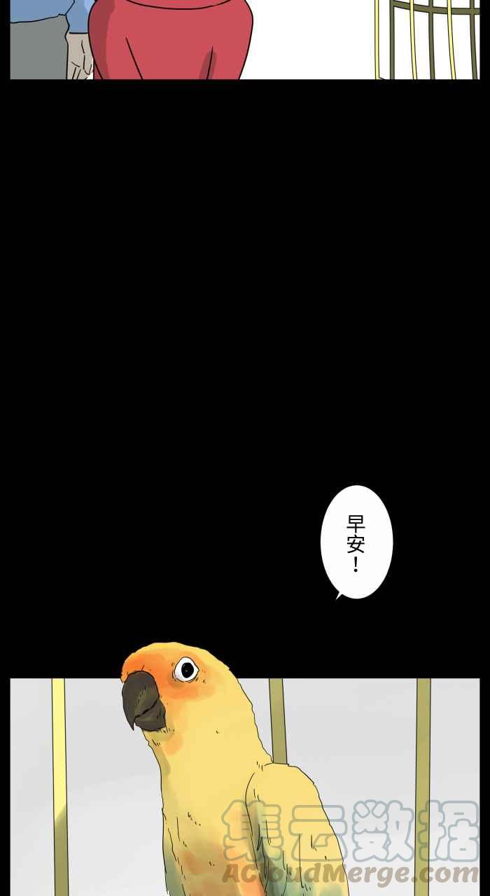 🍵百鬼夜行志・一夜怪谈之卷 [第668话] 鹦鹉 第3页