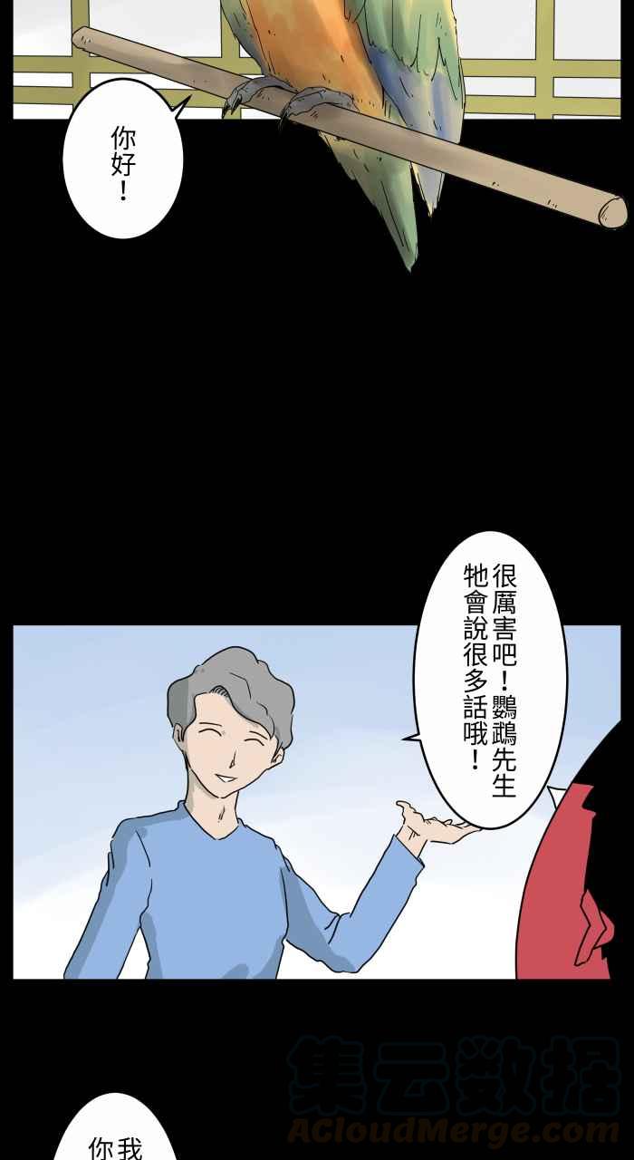 🍵百鬼夜行志・一夜怪谈之卷 [第668话] 鹦鹉 第4页
