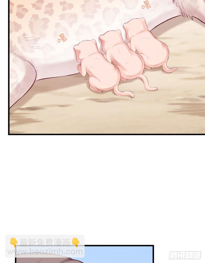 204(1/2)-第204话