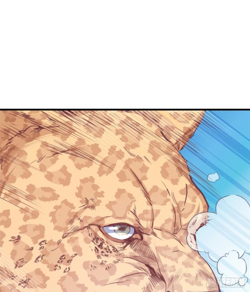216-第216话