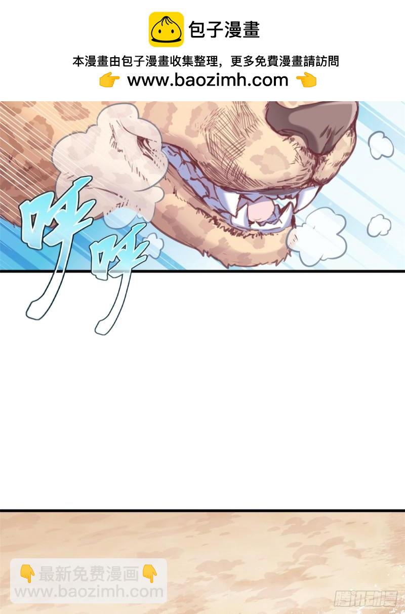 216-第216话
