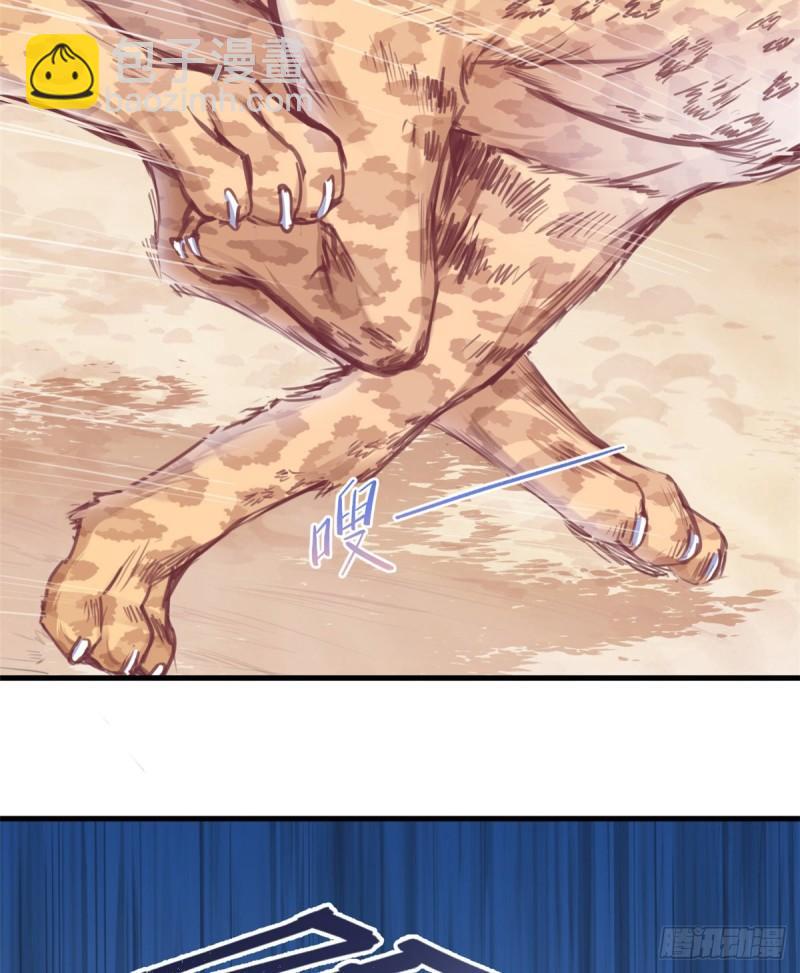 216-第216话