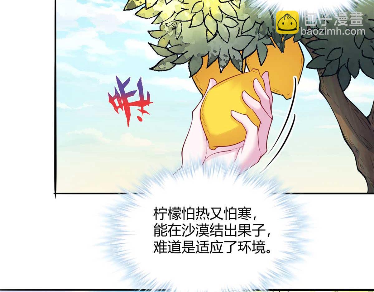 526(1/3)-第528话