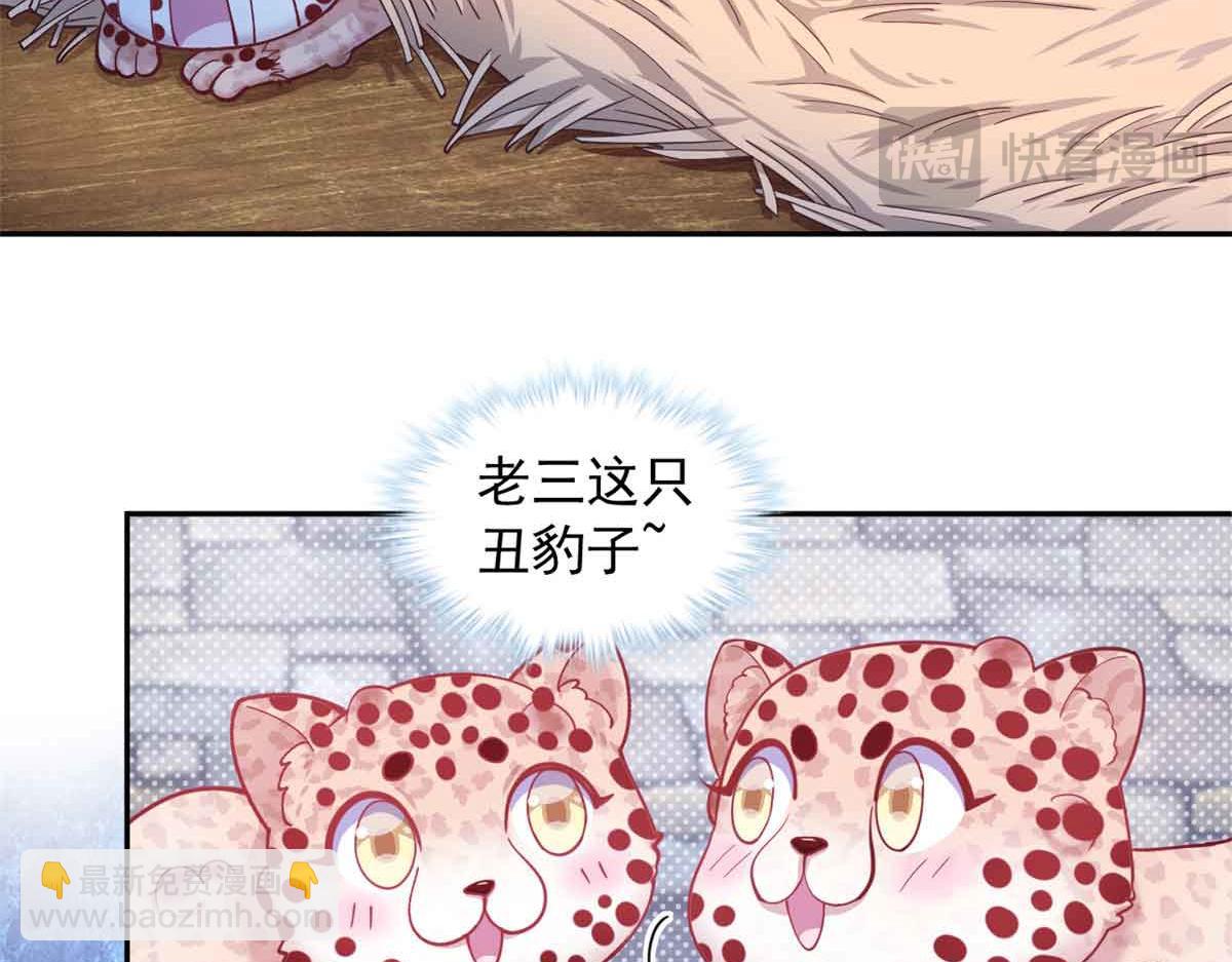 682(1/2)-第684话