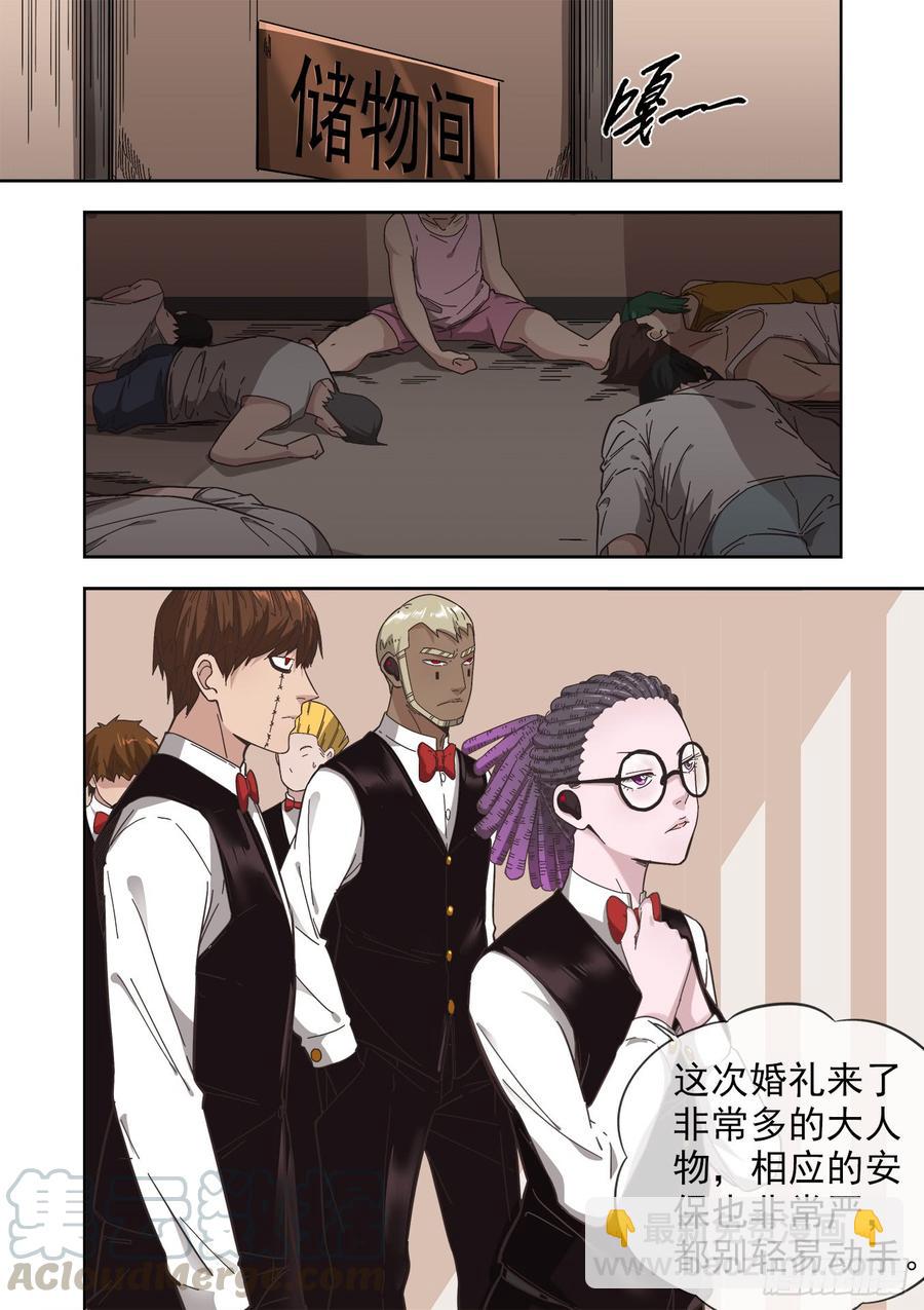 🍵白灵杀手 235.婚礼前两小时 第11页