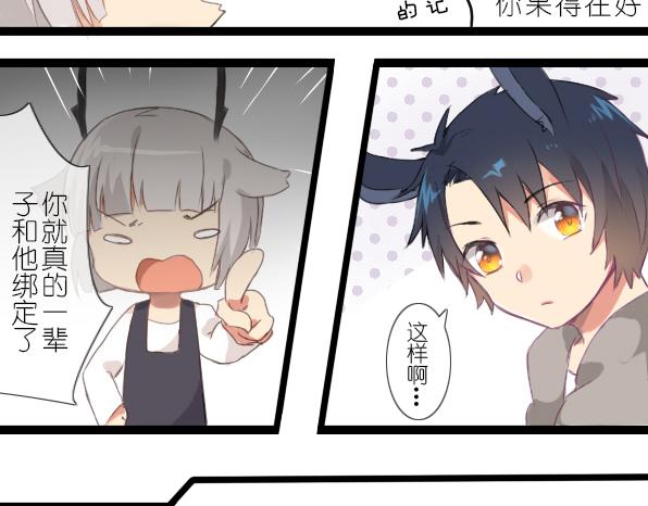 番外 熊兔（5）-第40话