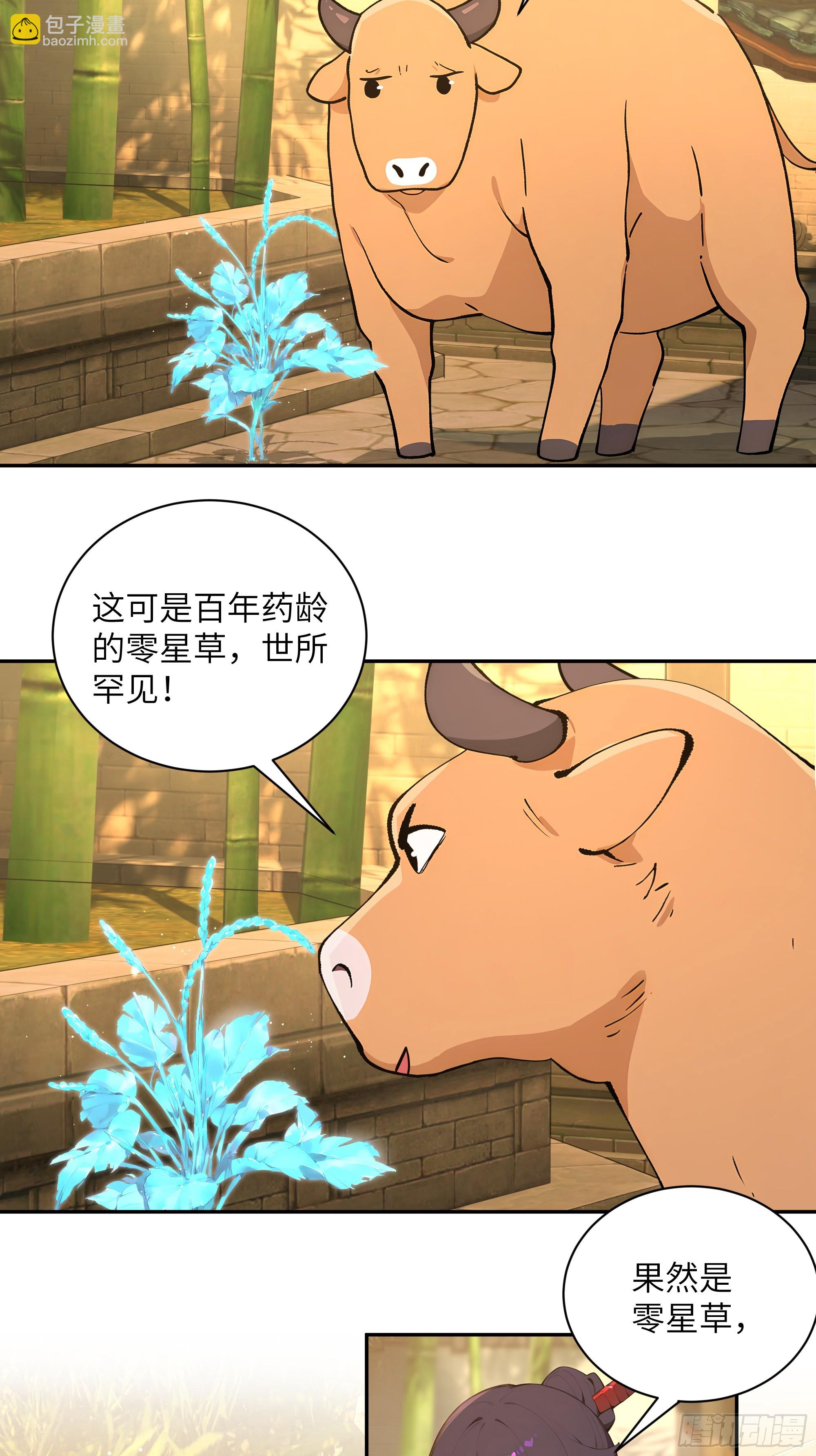 52 零星草(1/2)-第52话