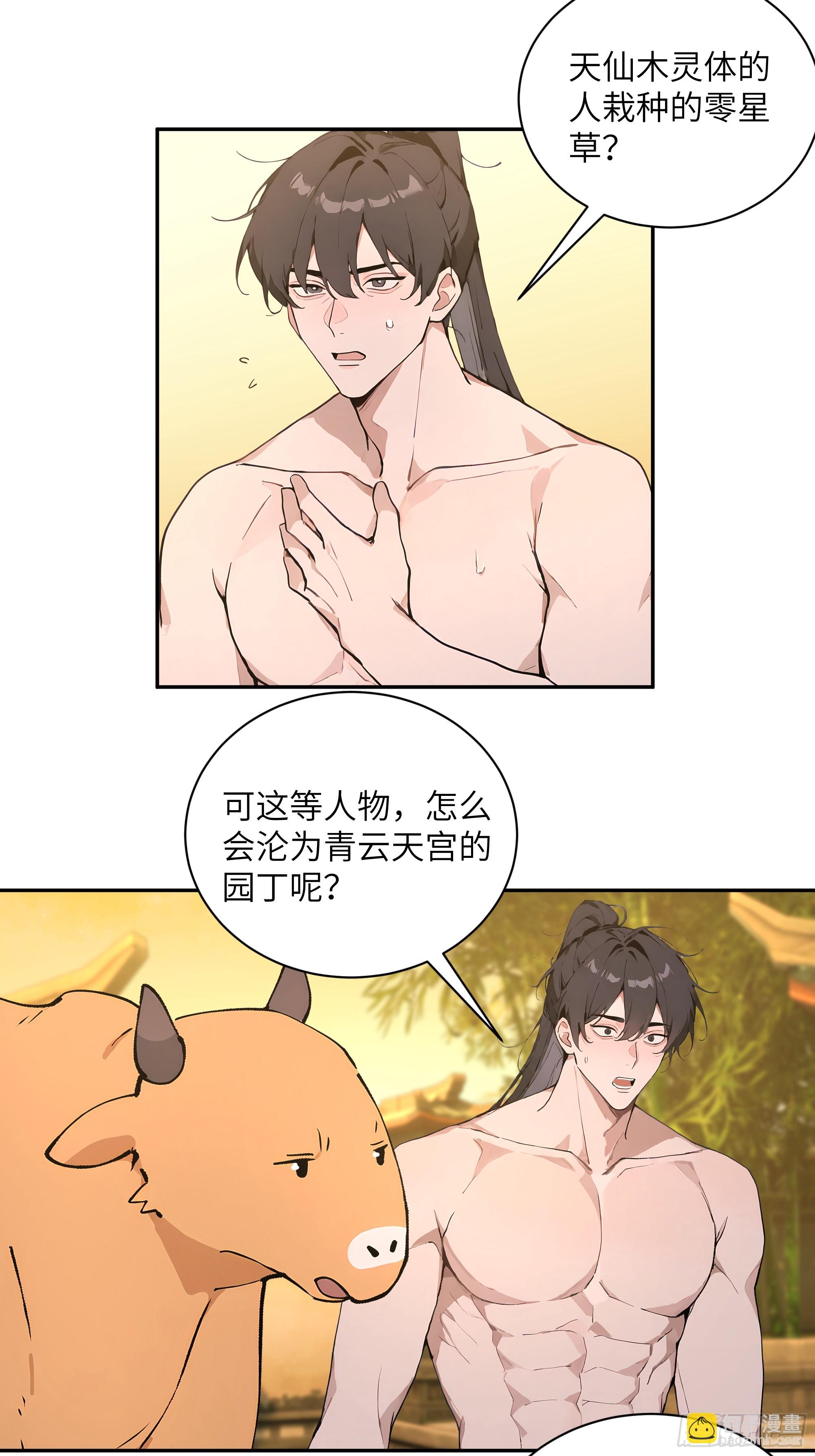 52 零星草(1/2)-第52话