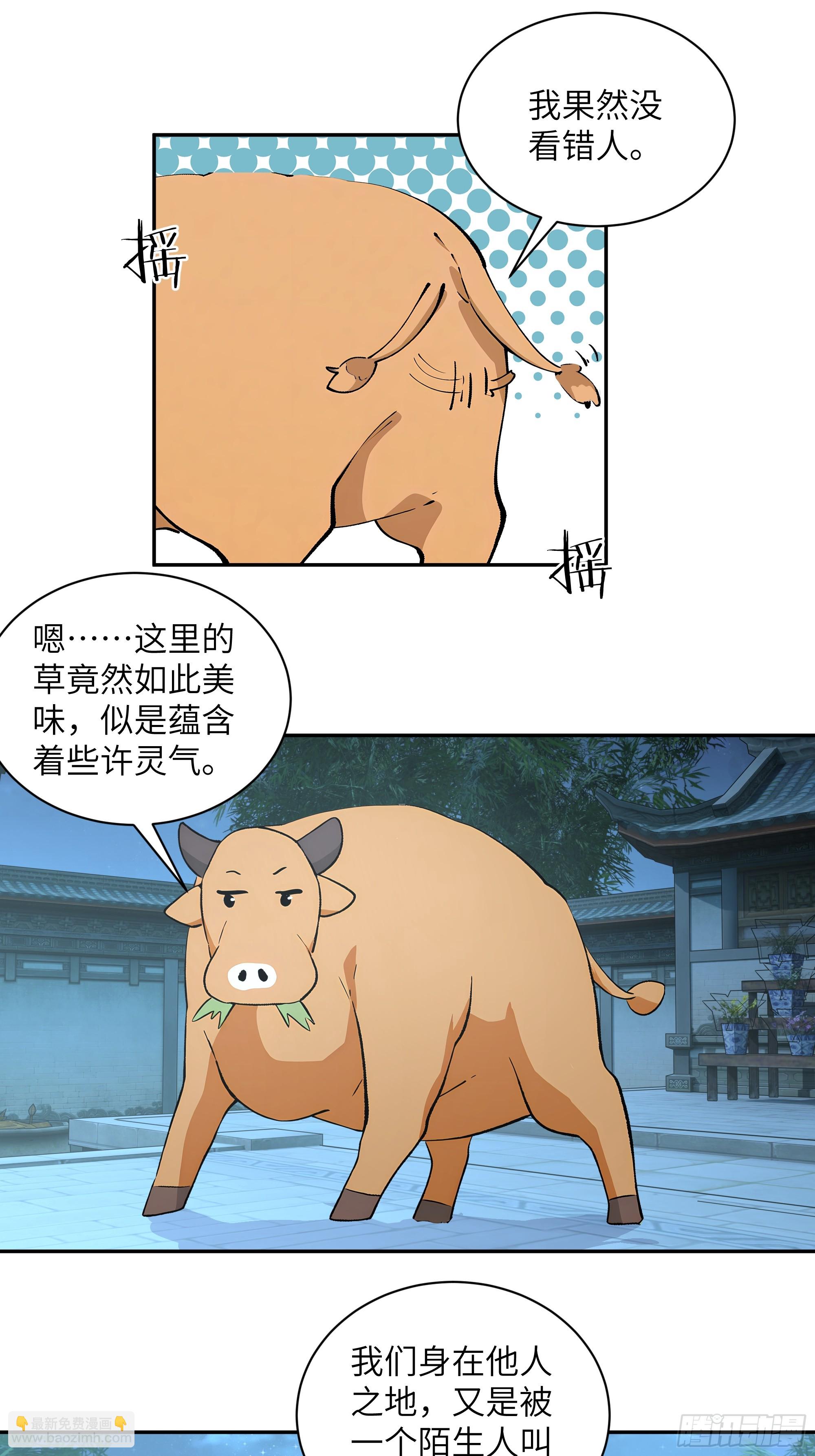 52 零星草(1/2)-第52话