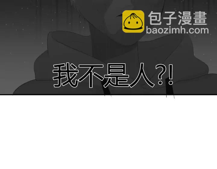 第53话 她的心意？(1/2)-第56话