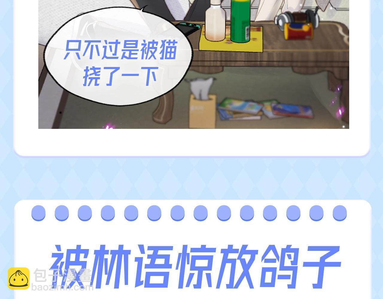 🍵白日梦我 第106期 特别企划：让猫挠了N下 第10页