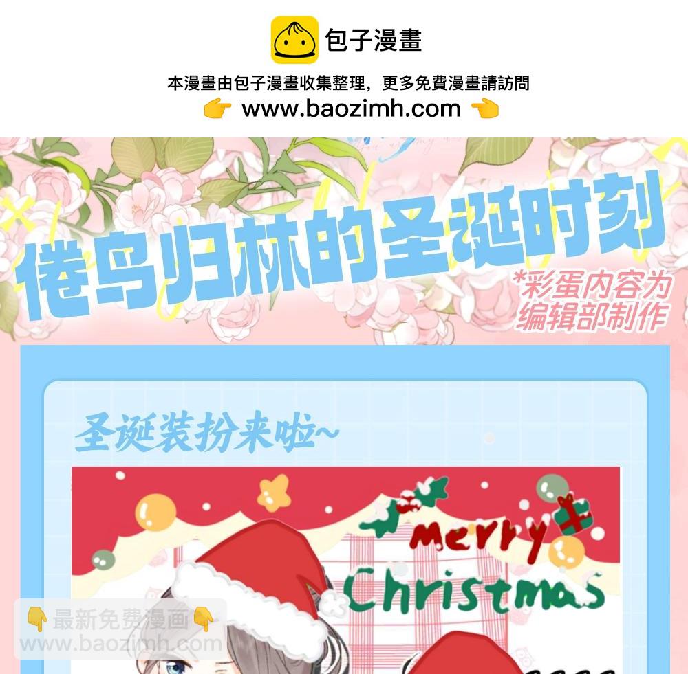 🍵白日梦我 第133期 特别企划：倦鸟归林的圣诞时刻 第2页