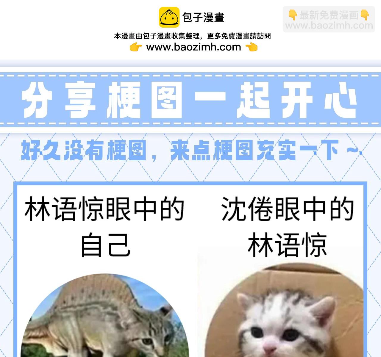🍵白日梦我 第147期 整活企划：分享梗图一起开心 第2页