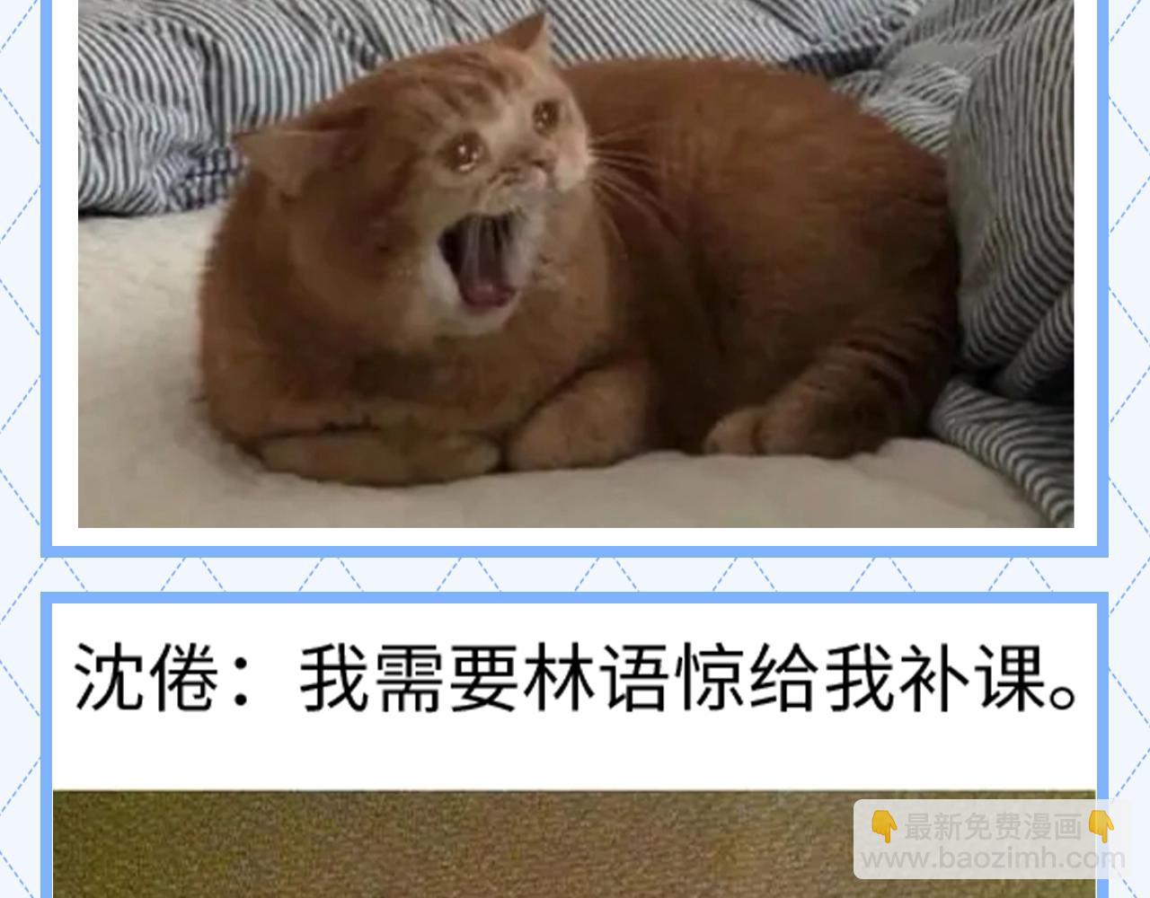 🍵白日梦我 第147期 整活企划：分享梗图一起开心 第5页