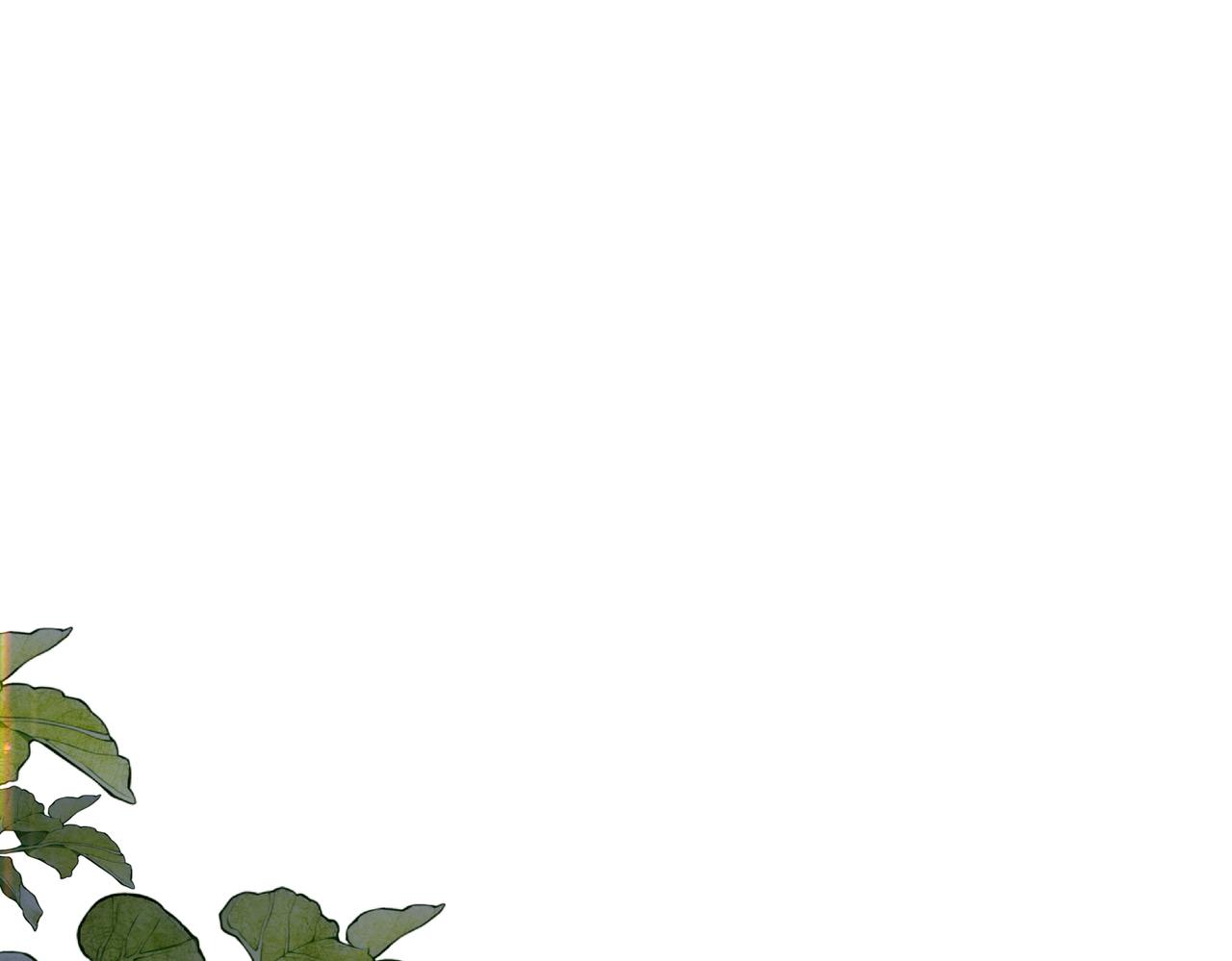 🍵白日梦我 第109话 服软 第1页