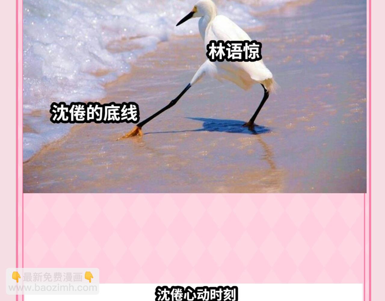 🍵白日梦我 第48期 梗图合集（日更中） 第4页