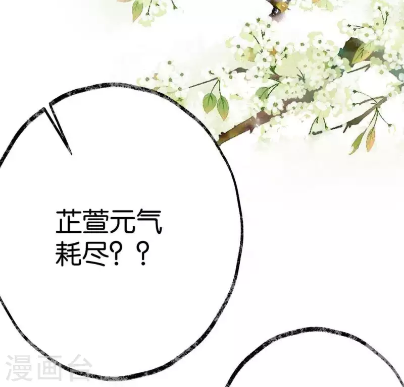 🍵白箬仙 第24话 封印天罡混元珠 第31页