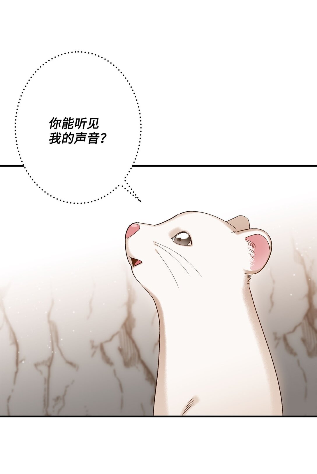 04 会说话的白鼬(1/2)-第4话
